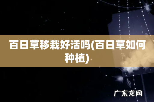 百日草如何种植 百日草移栽好活吗
