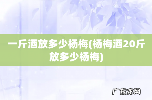 杨梅酒20斤放多少杨梅 一斤酒放多少杨梅