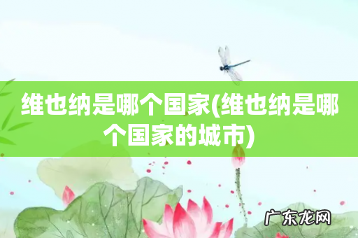 维也纳是哪个国家的城市 维也纳是哪个国家