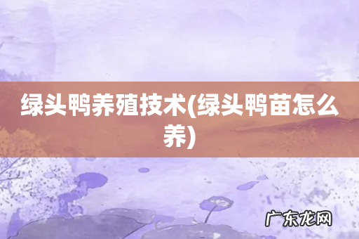 绿头鸭苗怎么养 绿头鸭养殖技术