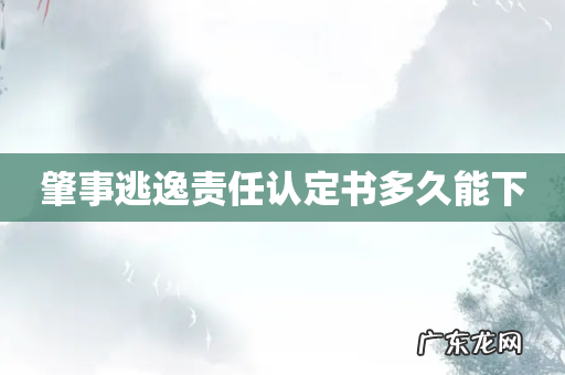肇事逃逸责任认定书多久能下