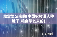 中国农村没人种地了,粮食怎么来的 粮食怎么来的