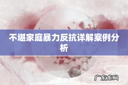 不堪家庭暴力反抗详解案例分析