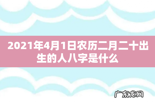 2021年4月1日农历二月二十出生的人八字是什么