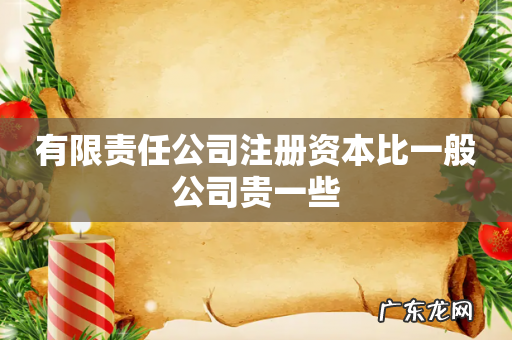 有限责任公司注册资本比一般公司贵一些