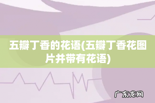 五瓣丁香花图片并带有花语 五瓣丁香的花语