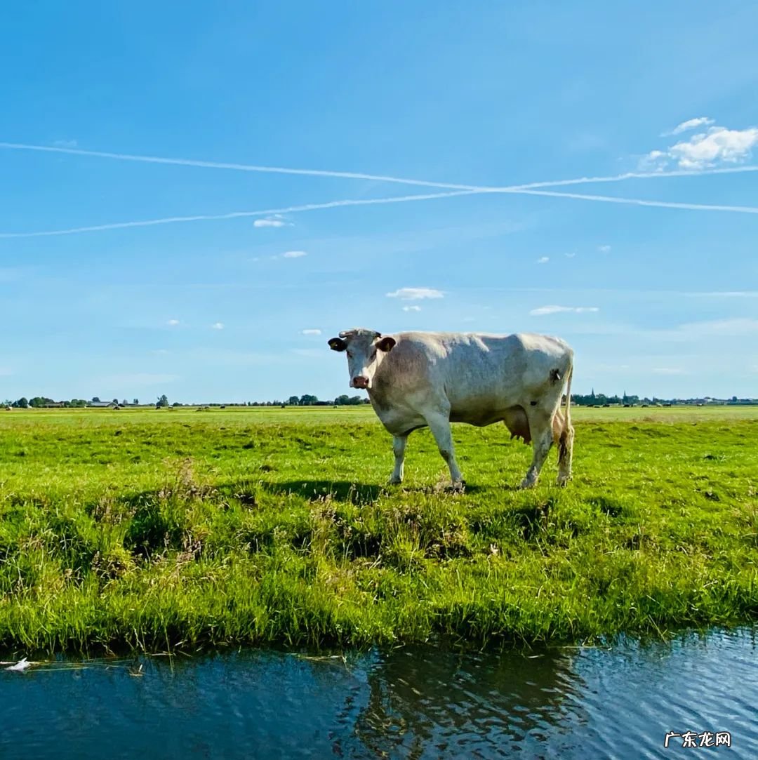如何看风水的好坏 荷兰人怎样