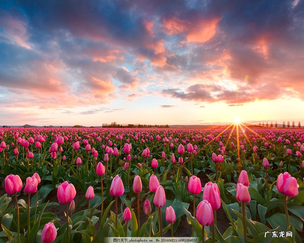 如何看风水的好坏 荷兰人怎样