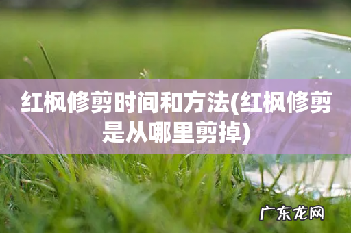 红枫修剪是从哪里剪掉 红枫修剪时间和方法