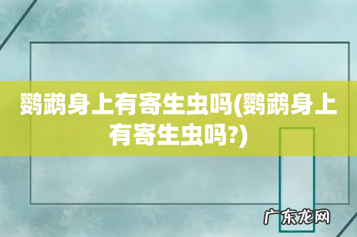 鹦鹉身上有寄生虫吗? 鹦鹉身上有寄生虫吗