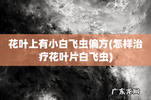 怎样治疗花叶片白飞虫 花叶上有小白飞虫偏方