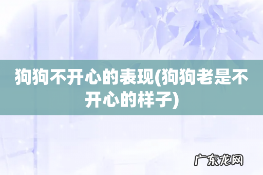 狗狗老是不开心的样子 狗狗不开心的表现