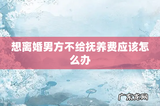 想离婚男方不给抚养费应该怎么办