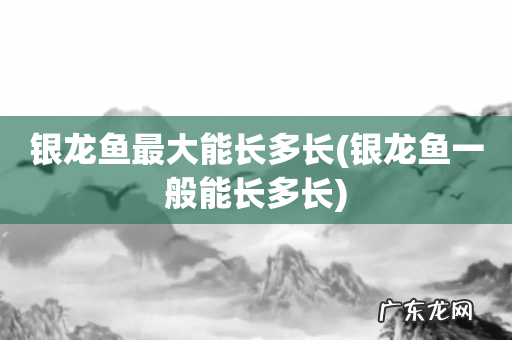 银龙鱼一般能长多长 银龙鱼最大能长多长