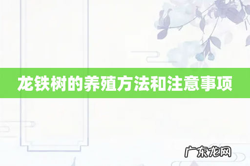 龙铁树的养殖方法和注意事项