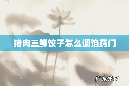 猪肉三鲜饺子怎么调馅窍门