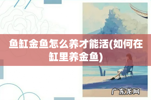 如何在缸里养金鱼 鱼缸金鱼怎么养才能活