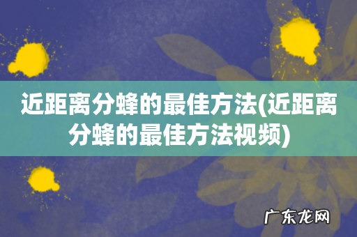 近距离分蜂的最佳方法视频 近距离分蜂的最佳方法