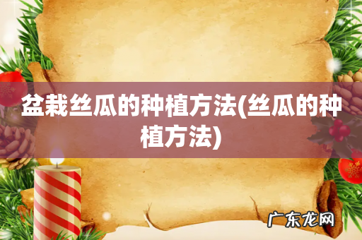 丝瓜的种植方法 盆栽丝瓜的种植方法