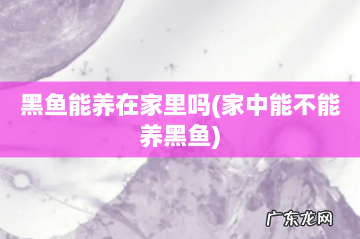 家中能不能养黑鱼 黑鱼能养在家里吗