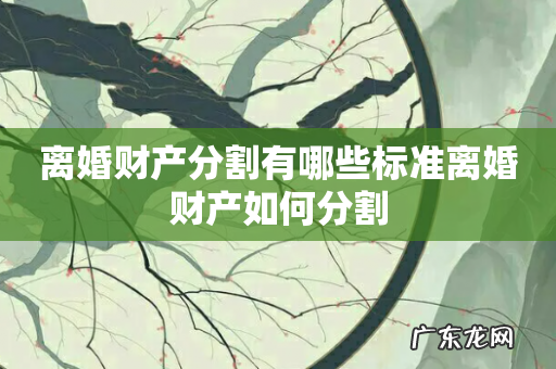 离婚财产分割有哪些标准离婚财产如何分割