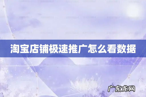 淘宝店铺极速推广怎么看数据