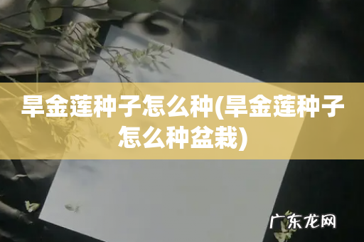 旱金莲种子怎么种盆栽 旱金莲种子怎么种