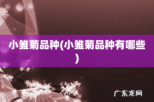 小雏菊品种有哪些 小雏菊品种