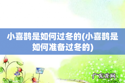 小喜鹊是如何准备过冬的 小喜鹊是如何过冬的