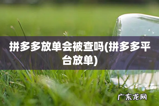 拼多多平台放单 拼多多放单会被查吗