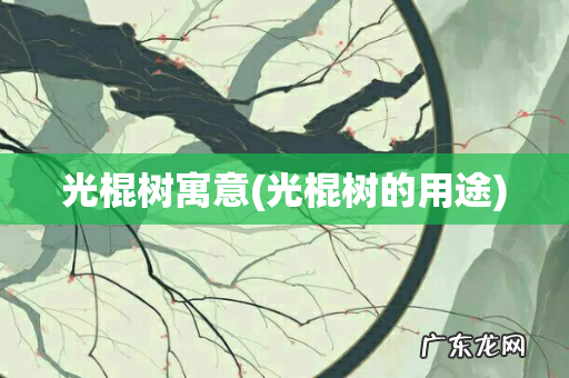 光棍树的用途 光棍树寓意