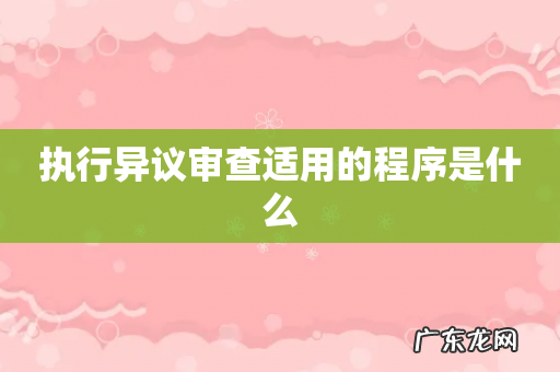 执行异议审查适用的程序是什么