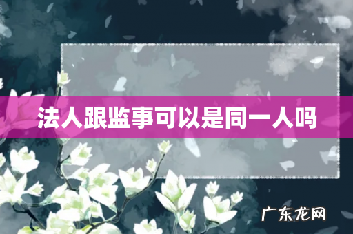 法人跟监事可以是同一人吗
