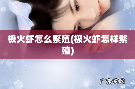 极火虾怎样繁殖 极火虾怎么繁殖