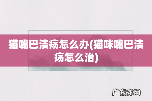 猫咪嘴巴溃疡怎么治 猫嘴巴溃疡怎么办