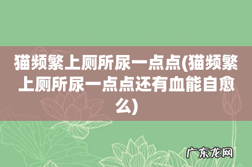 猫频繁上厕所尿一点点还有血能自愈么 猫频繁上厕所尿一点点