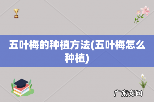 五叶梅怎么种植 五叶梅的种植方法