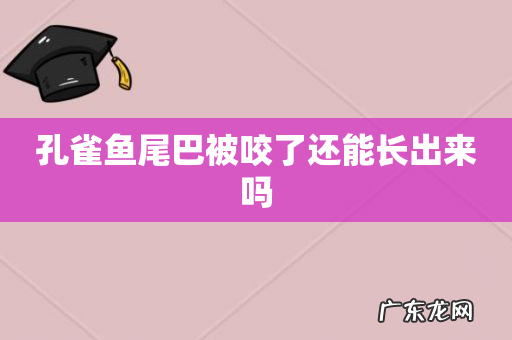 孔雀鱼尾巴被咬了还能长出来吗