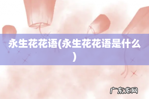 永生花花语是什么 永生花花语