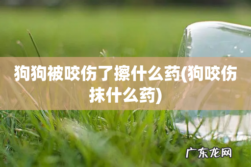 狗咬伤抹什么药 狗狗被咬伤了擦什么药