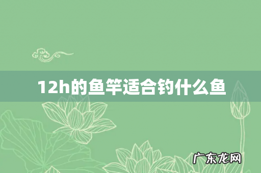 12h的鱼竿适合钓什么鱼