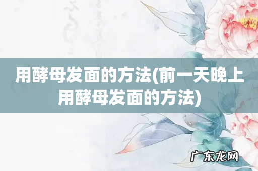 前一天晚上用酵母发面的方法 用酵母发面的方法