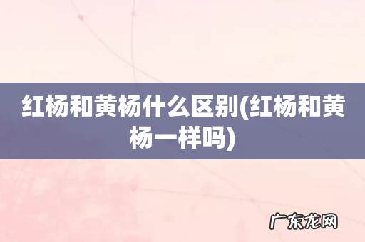 红杨和黄杨一样吗 红杨和黄杨什么区别