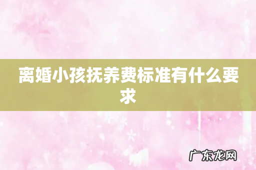 离婚小孩抚养费标准有什么要求