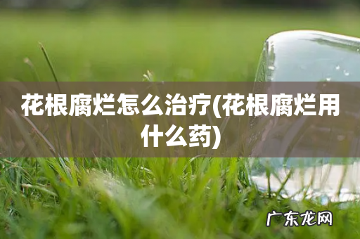 花根腐烂用什么药 花根腐烂怎么治疗