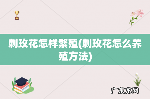 刺玫花怎么养殖方法 刺玫花怎样繁殖
