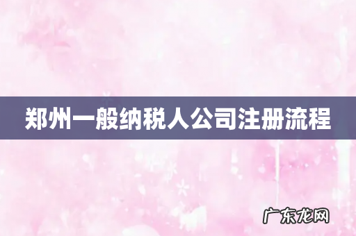 郑州一般纳税人公司注册流程