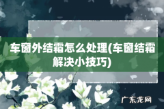 车窗结霜解决小技巧 车窗外结霜怎么处理