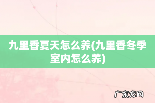 九里香冬季室内怎么养 九里香夏天怎么养