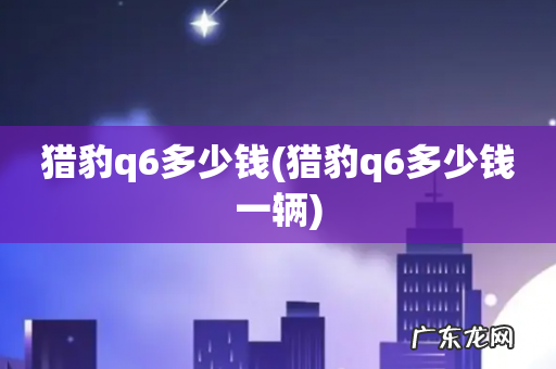 猎豹q6多少钱一辆 猎豹q6多少钱
